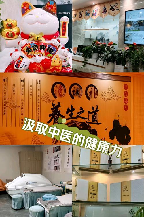 武汉性价比最高的养生_武汉养生哪里好_武汉养生什么意思