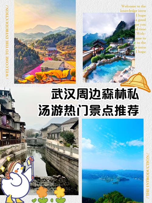 武汉桑拿十大排名榜_桑拿武汉_武汉桑拿指南