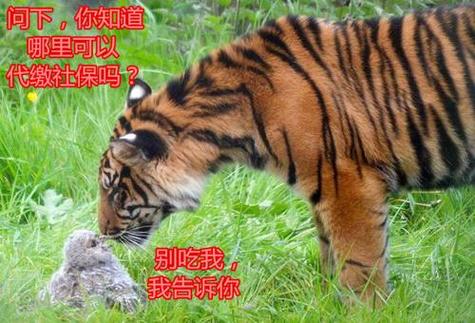 武汉养生去哪里？靠不靠谱？朋友的真实经历告诉你答案